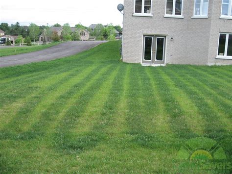 Lawn mowing is a routine activity sometimes combined with other lawn maintenance tasks. Sir, step away from the fertilizer NOW! Astounding do-it ...