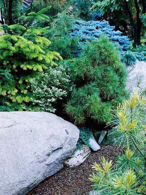 Mauersteine für garten aus naturstein günstig kaufen. Steingarten anlegen und bepflanzen - Gestaltungsideen für ...