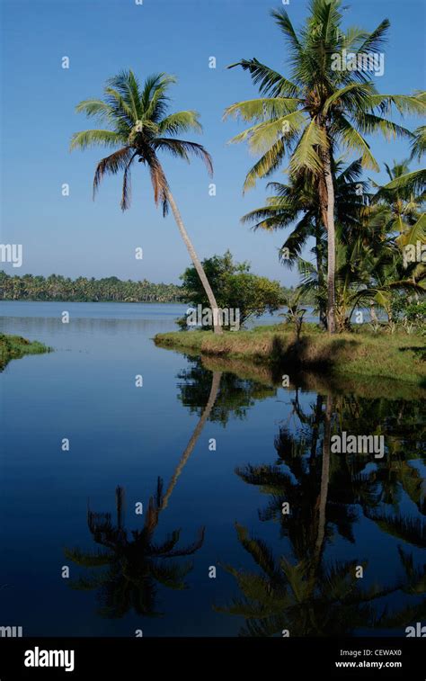 Beautiful Scenery Of Kerala Landscape Near Silent Kerala Backwaters