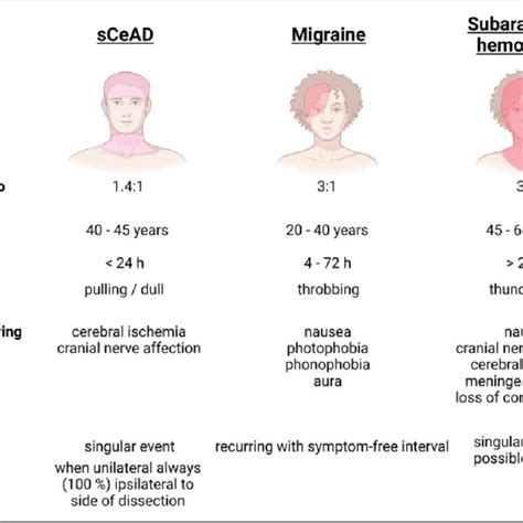 Differential Features Of Scead Related Headneck Pain Compared To Other