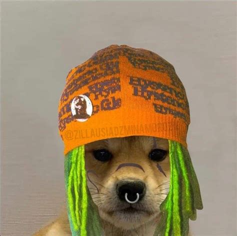 Dogwifhat Dog Wif Hat Meme Apsgeyser