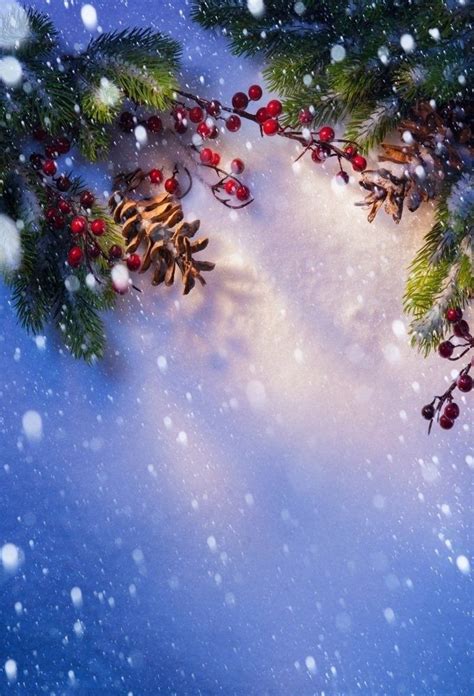5x7ft Photography Background Snow And Christmas Tree Photo Backdrop