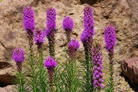 Der botanische garten der universität graz bietet neben zahlreichen wissenschaftlich interessanten pflanzen einen moosgarten sowie ein samentauschverzeichnis. Botanischer Garten in Graz • Pentaxians