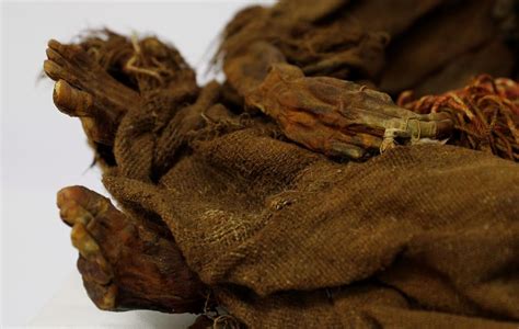 500 Year Old Mummy Of Incan Girl Returns To Bolivia Citynews Toronto