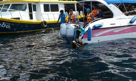 Russian Divers Leg Slashed Off By Speedboat Propeller On Phi Phi