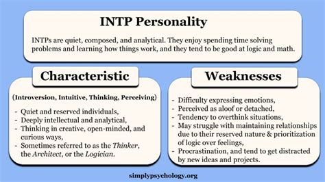 Intp Personality Type The Logician