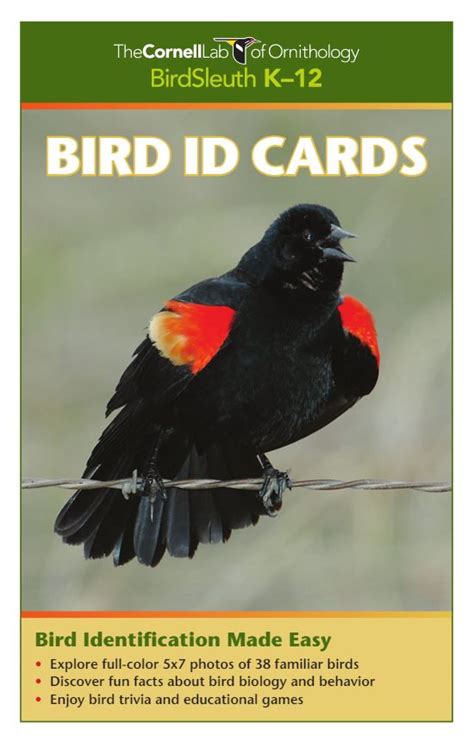 Bird Id Species List K 12 Education