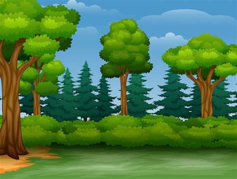 Premium Vector Cartoon Of Trees View In A Forest