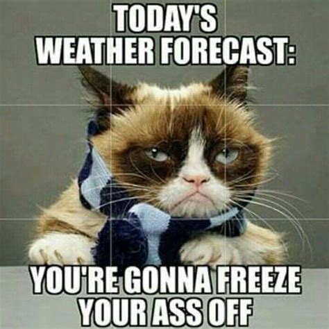 Heres Today Weather Forecast Enjoy The Winter Funny Memes