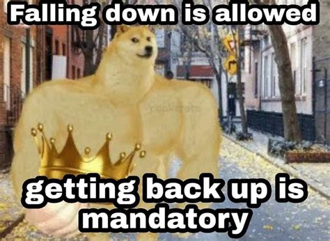Le Sigma Mentality Has Arrived Rdogelore Ironic Doge Memes Know