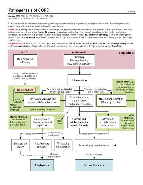 Chronic obstructive pulmonary disease (copd) diagnosis and treatment guideline. Copd Gold Guidelines 2019 Ppt - Hirup a