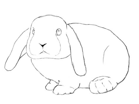 If you want, you can also add a shadow (or grass). How To Draw A Bunny Step By Step (With images) | Bunny ...