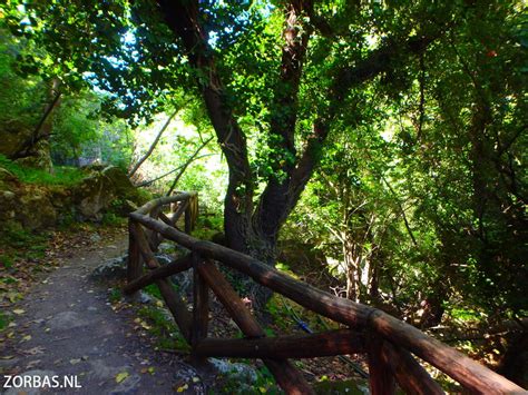 Kann ich mir ein haus in griechenland leisten? Mili Schlucht auf Kreta | Griechenland kreta, Kreta ...
