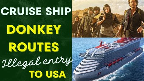 Donkey Routes Cruise Ship Donkey Routes Dunki Routes Cruise Ship Illegal Entry To USA YouTube