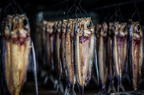 Dried Fishes Free Image Peakpx