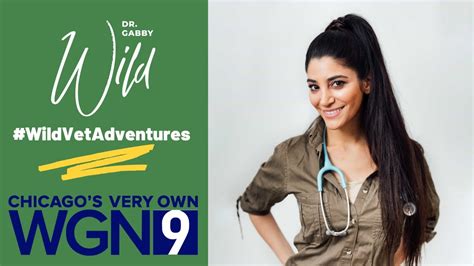 Dr Gabby Wild Talks About Her New Book Wild Vet Adventures On WGN TV