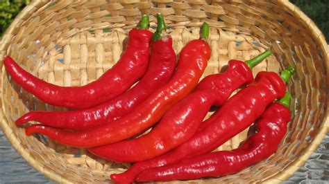 Spicy Foods May Help You Live Longer Says A New Study Wgno