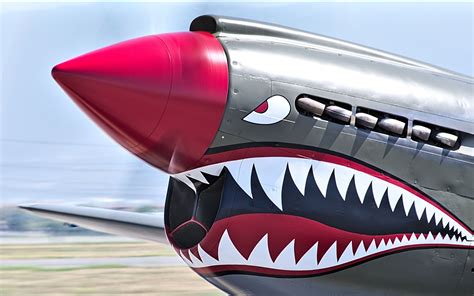 Shark Airplane Design