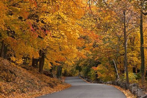 50 Photos That Prove Autumn Is The Prettiest Season In Every State