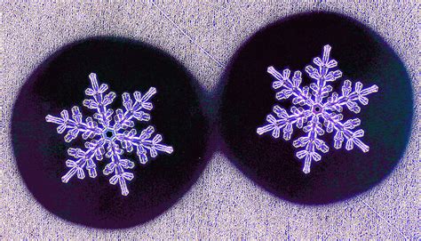 Identical Twin Snowflakes