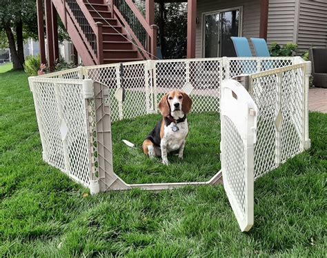 North States Superyard Ultimate Dog Playpen Ivory