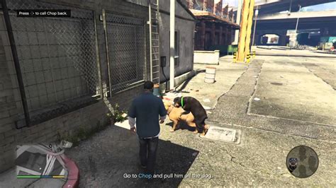 Grand Theft Auto V Dog Sex Youtube