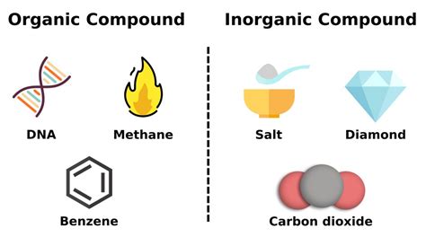 Organic And Inorganic Chemistry The Difference Between Both