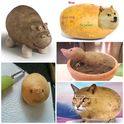 🥔 Potato Animals 🥔 Rjacksepticeye