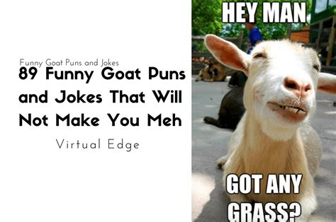 Funny Goat Puns And Jokes That Will Not Make You Meh Virtual Edge