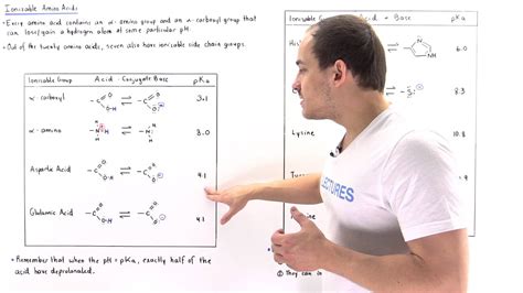 Amino acids are building blocks of proteins. Ionizable Amino Acids - YouTube