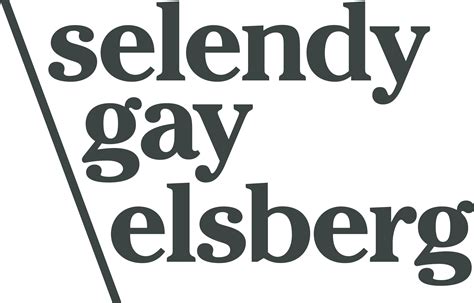 Selendy Gay Pllc Company Profile Vault Com