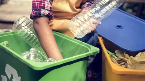 Cómo reducir la contaminación ambiental Eco Sitio Ecología