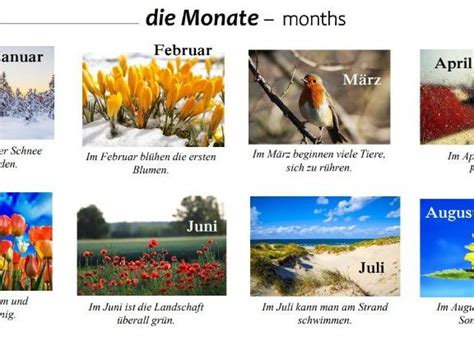 German A1 Vocabulary Months Die Monate Teaching Resources