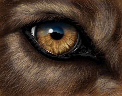 Wolf Eye By Krats On Deviantart