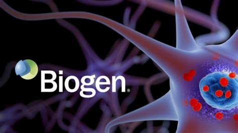 (biib) stock price, news, historical charts, analyst ratings and financial information from wsj. Biogen stock skyrockets on news FDA may back its Alzheimer ...
