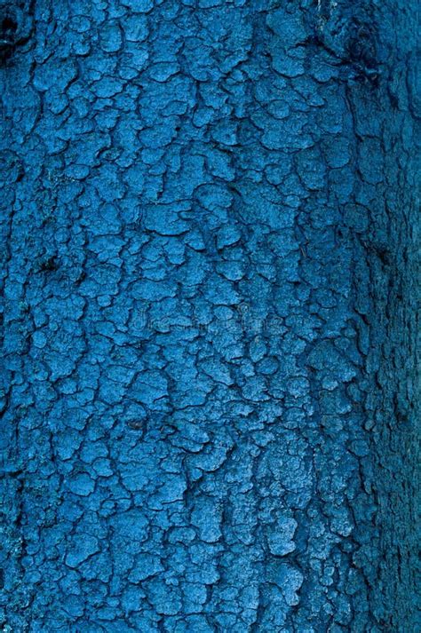 Blue Abstract Texture Bacground Macro Stock Photo Image Of Macro