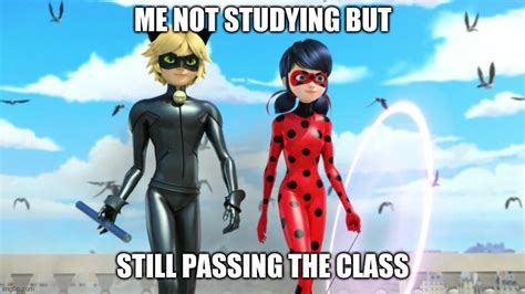 Miraculous Ladybug And Cat Noir Chat Noir Imgflip