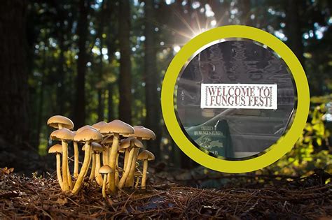 This Michigan Fungus Is So Famous It Has Its Own Festival