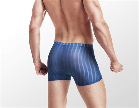 Summer Ultra Thin Sexy Transparent Breathable Men Ice Silk Boxer Shorts Man Panties Striped