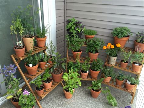 You can still grow some of your own food. Balcony Herb Garden Update! Terracotta container garden on ...