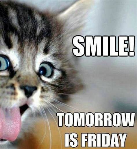 55 Almost Friday Memes When The Weekend Is Right Around The Corner