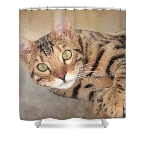 A wide variety of bengal cat options are available to you, such as material, feature, and commercial buyer. Bengal Cat Shower Curtain for Sale by Elisabeth Lucas in ...