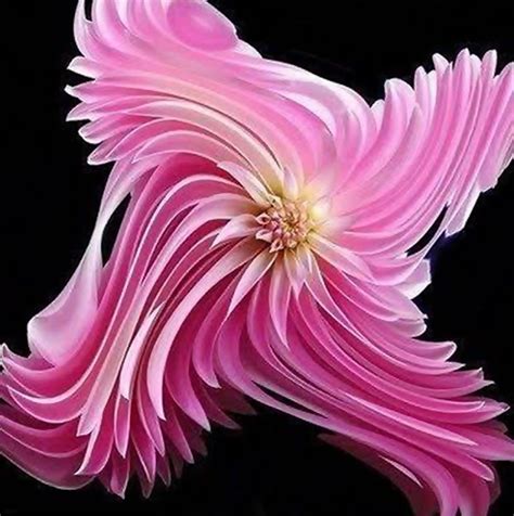 Unusual Flowers Exotic Rare And Not Often Seen Specimens Artofit