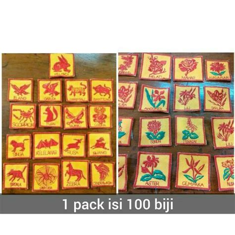 Nama regu bisa di ganti dengan regu yang kakak pilih. Menakjubkan 29+ Gambar Bunga Aster Pramuka - Koleksi Bunga HD