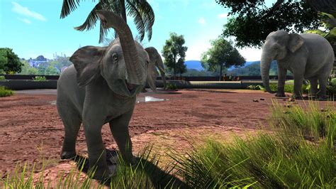 Comprar Zoo Tycoon Ultimate Animal Collection Steam
