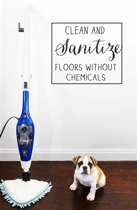 Clean And Sanitize Floors Without Chemicals Written By Not Just A