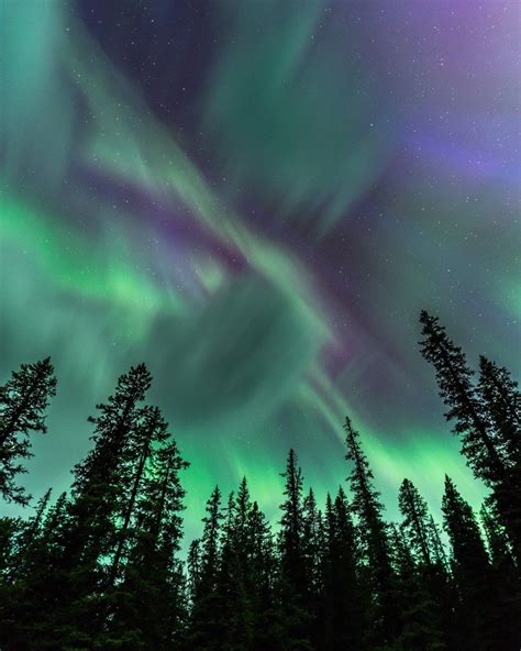 Northern Lights In The Yukon Aurora Borealis Photography Tips