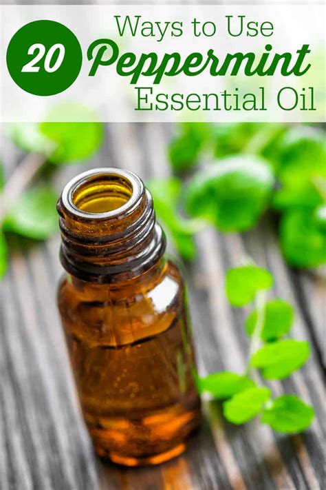 Ways To Use Peppermint Essential Oil Simply Stacie
