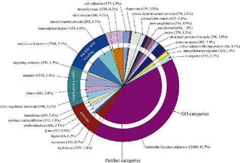 The flow of information from dna to rna to proteins is one of the fundamental principles of molecular biology. Human genome sequence