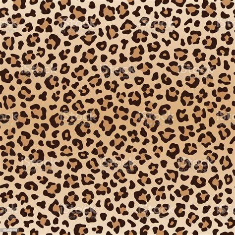 Seamless Animal Leopard Pattern Vector Stock Illustration Download